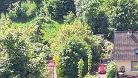 Haus Westharz Clausthal - Foto 4