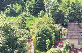 Haus Westharz Clausthal - Foto 4