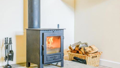 Pipistrelle - Uk30758 - Foto 2