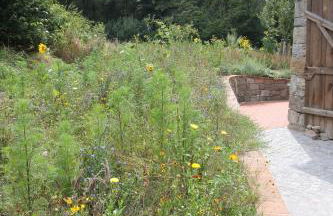 Apfelscheune Cannewitz - Foto 40