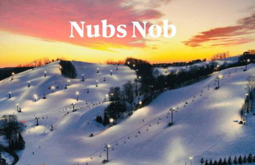 Petoskey Falls Escape-Hot Tub/Dogs/Petoskey/Boyne - Photo 66