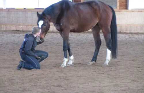 Kaiserhof Goldenbek - Foto 19