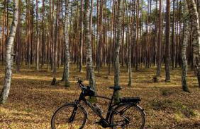 Wczasowe Wzgórze Swornegacie - Foto 26