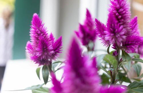 Etxie La casa de Mundaka EBI 326 - Foto 36