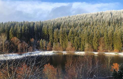 Haus Löwe - Komplettes Ferienhaus am Badesee - Foto 42