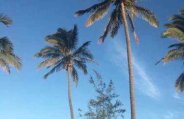 Mauna Kai'iki - Foto 15