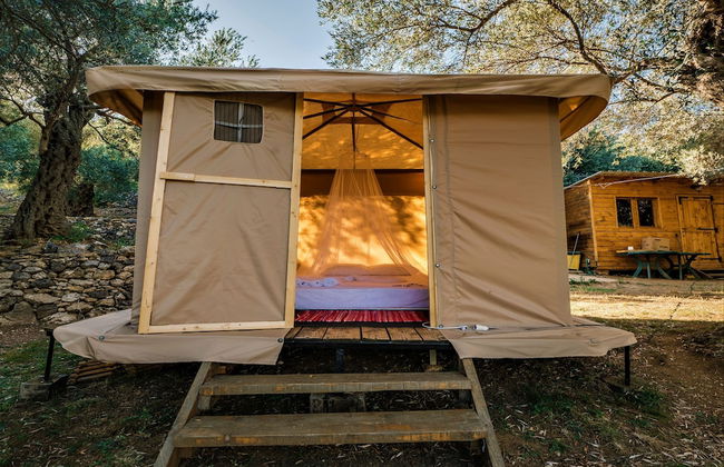 Holiday Park Tree - Foto 6