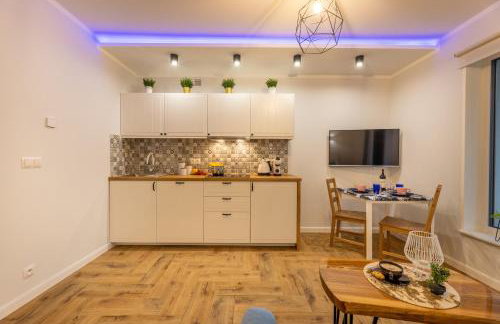 Villa Kasztelan Apartamenty - Foto 48