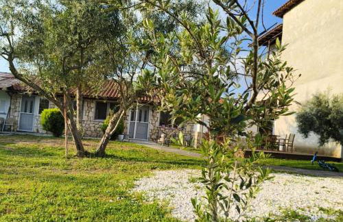 ΠΕΤΡΙΝΗ ΚΑΤΟΙΚΙΑ ΣΤΗΝ ΦΥΣΗ - Photo 24