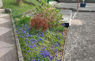 Sonnenhang - Foto 25