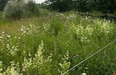 The Barn at Whistley Fields - Foto 26
