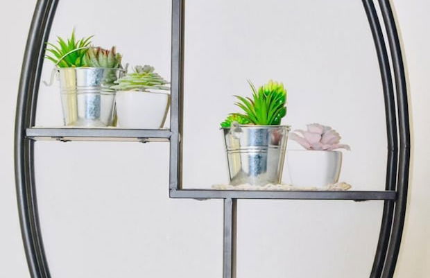 Kingston Guest Apartment At Dumbarton - Foto 14