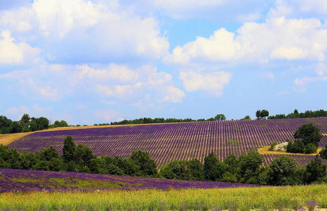 Holiday Home in Revest With Garden - Foto 35