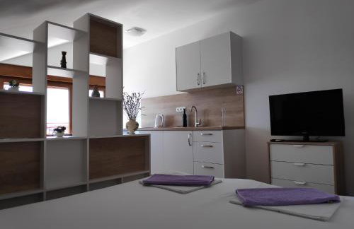 Apartman Anicic - Foto 28
