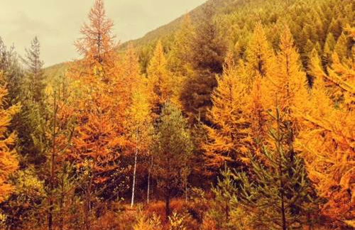 Ninette, intimità e natura - Photo 32