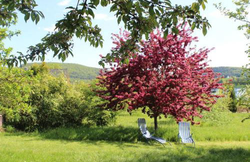 Pension Höchemer - Foto 63