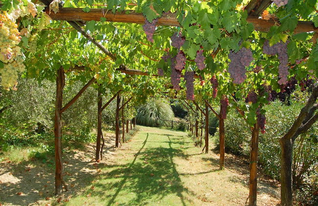 Agriturismo Casale dei Frontini - Foto 53