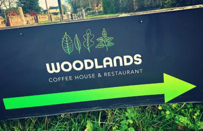 Robin Cabin with hot tub - Foto 41