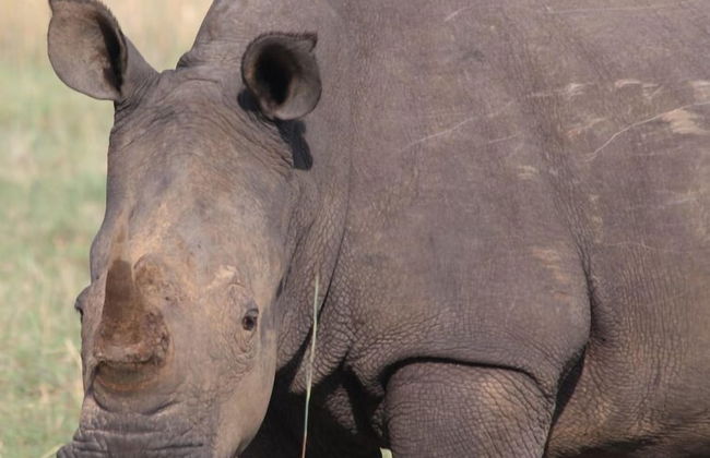 ArendSig Villa - Photo 26