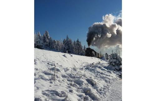 Holiday home in the Harz Mountains with 3 bedrooms - Foto 32