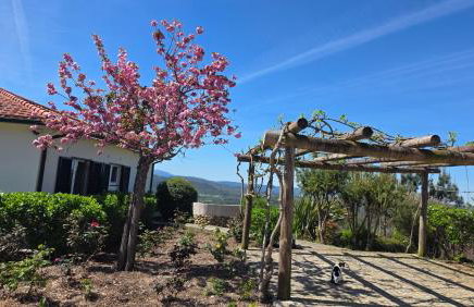 Coja Mountain Perch - Foto 5