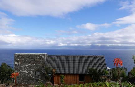 Lava Homes - Photo 10