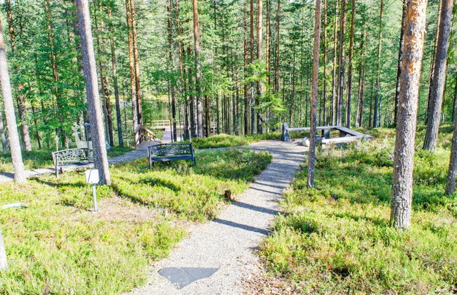 Otsopirtti, otso - Photo 24