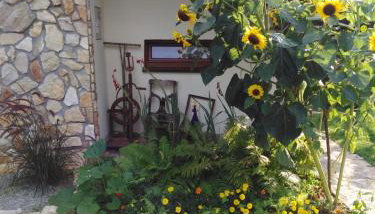 Czytelnia w Sadzie - Foto 4