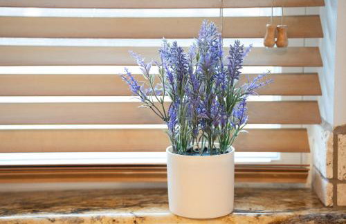 DFW Spacious Cozy Modern Villa - Foto 68