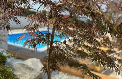 Countryside Home 39 by GREEN Croatia - Foto 16