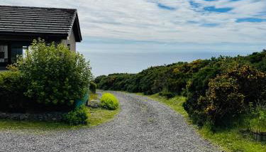 The Stroops - Foto 5