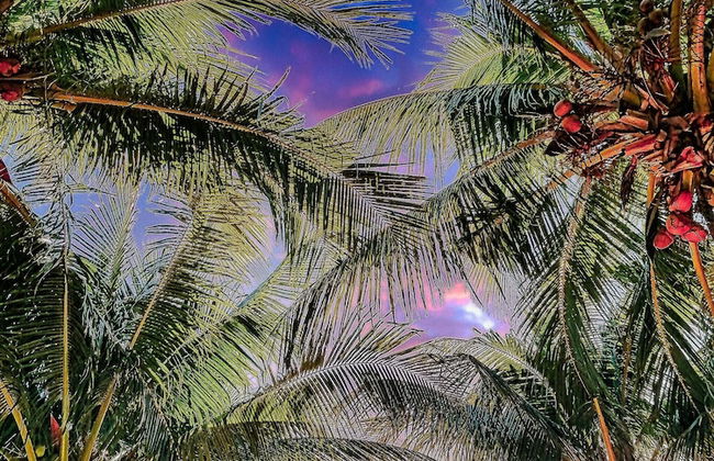 Location Location Location Best Beachfront Spot in El Cuyo With Stunning Views - Photo 47