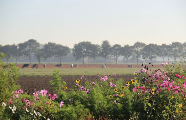 Holiday Home With Terrace - Photo 35