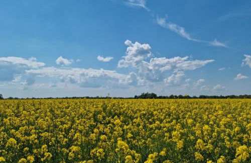 Waldhaus Dötlingen Ferienhaus im Naturpark - Foto 20