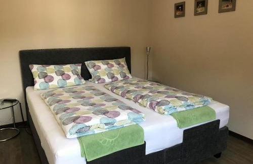 Bio-Ferienweingut Leyendecker - Foto 55