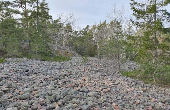 7 Person Holiday Home in Grisslehamn-by Traum - Photo 11