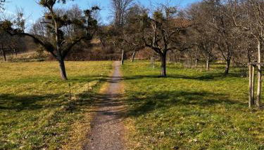 Kinderparadies Alt Lüxem - Foto 4