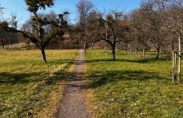 Kinderparadies Alt Lüxem - Foto 4