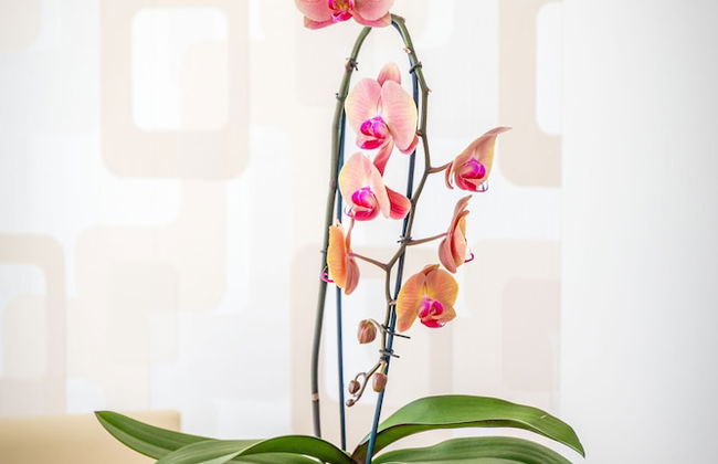 Best Apartments Szeged - Foto 48