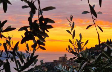 Residence Casa Silvana - Foto 13