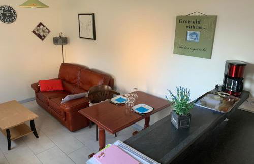 Les Gîtes de la Colo - Foto 14