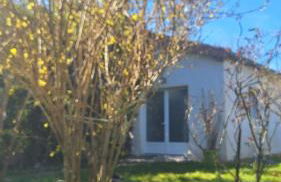 La Petite Maison - Foto 2