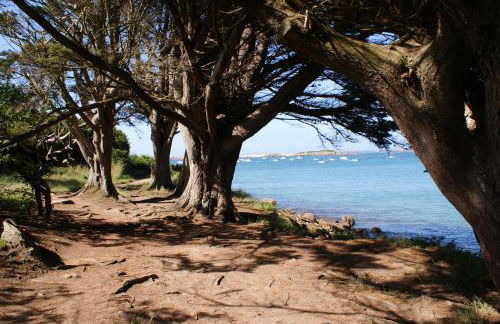 Île Grande, Location maison saisonnière chez Dom et Cathy C - Foto 19