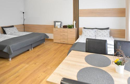Apartamenty Tilia Laskowa - Zator - Foto 58
