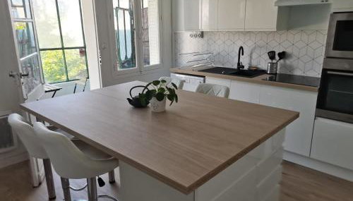 Belle Maison 12p 6 couchages TOURS CENTRE avec jardin - Foto 1