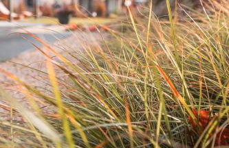 Śnieżka Exclusive Apartamenty - Foto 66