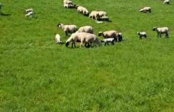 Ferienwohnung Nordsee in Pewsum mit Dachterrasse, 2 Schlafzimmer - Foto 27