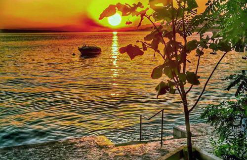 Dream In Green - Foto 41