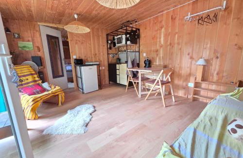 Studio bois avec terrasse et jardin bassin et océan - Foto 23