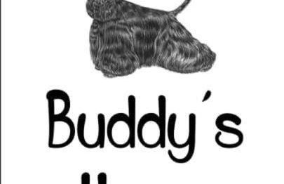 Buddy'S House Lake view Pet friendly whit garage - Foto 34